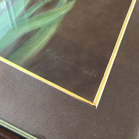 Yellow Iris Flower Original Pastel Drawing Framed Signed Phyl Henkel 14x17" - Picture 3 of 5